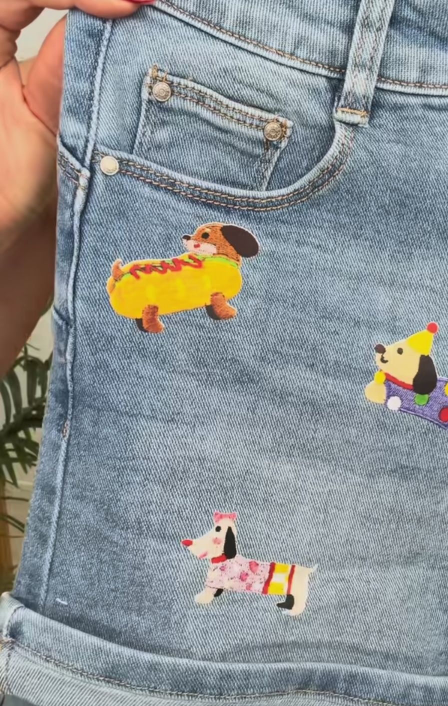 Short perritos