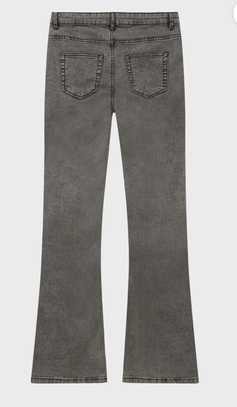 VAQUEROS Flare Gris